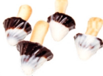 Опята в кондитерской глазури 1,6кг - фото1